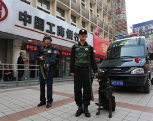 駐海口萬綠園停車場安保服務